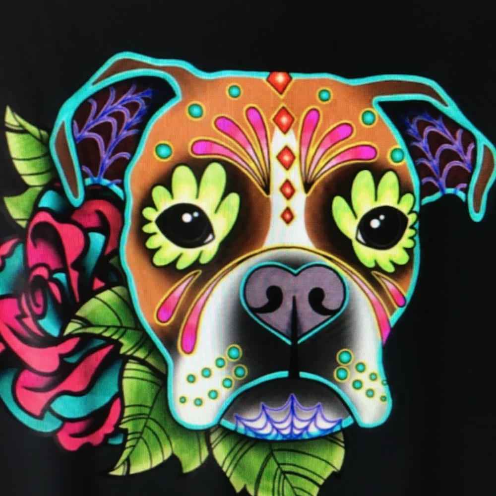 Meet your Posher, Wendy